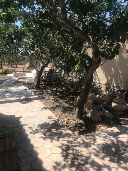 Πέτρινη Κατοικία Στην Αίγινα - Stone House In Aigina Khloi Eksteriør bilde